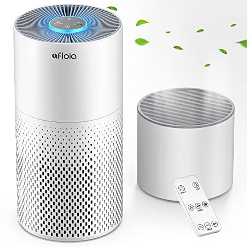 Afloia 2-in-1 Air Purifier and Humidifier