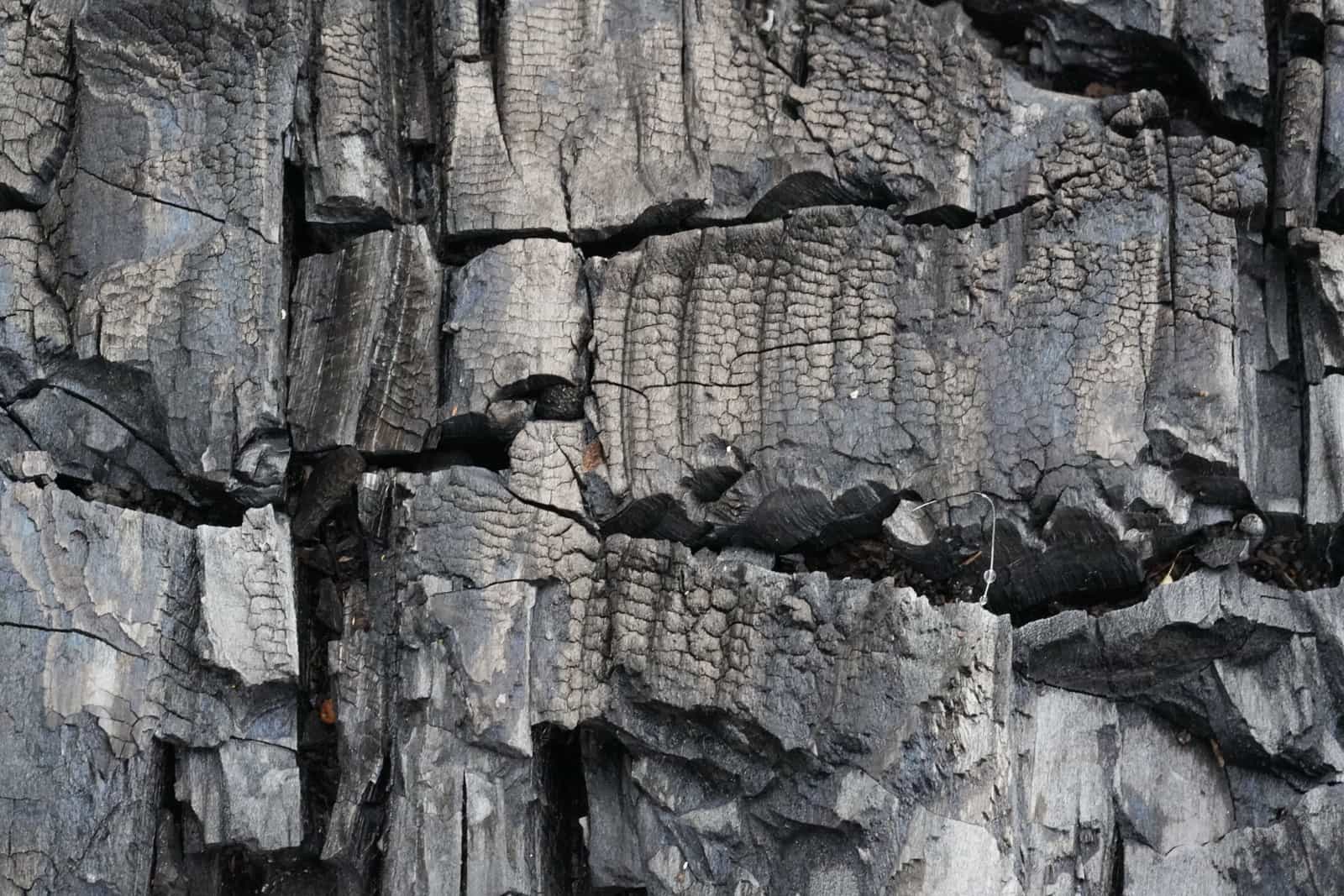 Close-up of charred wood, cracked and blackened