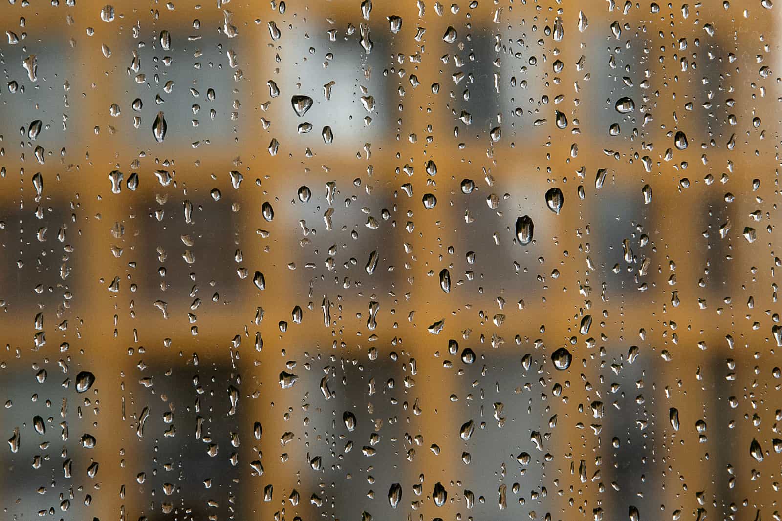 Water droplets condensed on the inside of a cold window pane