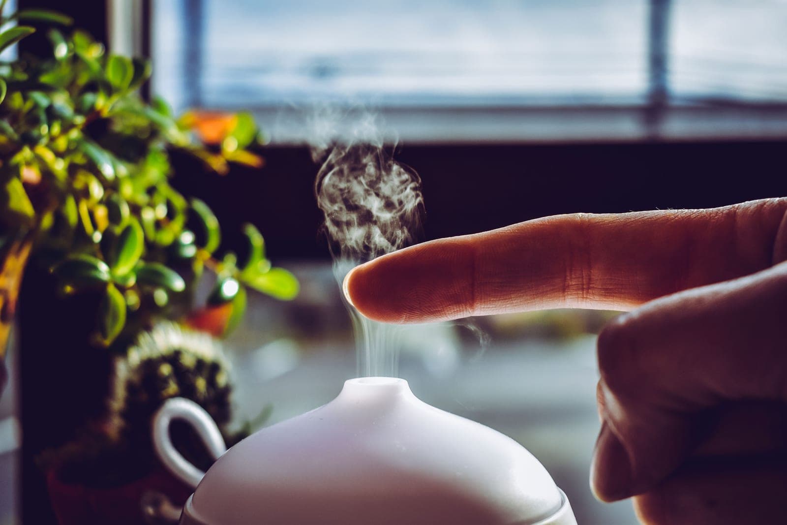 A hand held in the mist rising from a diffuser
