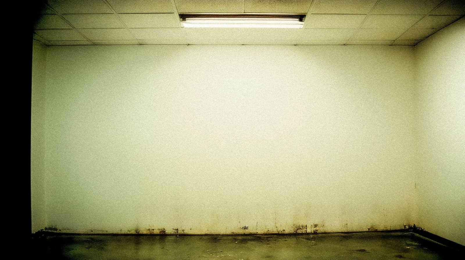 A water stain spreading across a painted basement wall